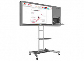 Интерактивная панель Horizon Scan c документ-камерой 55"